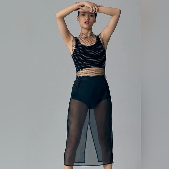 NWT Anthropologie Sunday in Brooklyn Sheer Skirt Midi Size L 90s Minimalist - Picture 3 of 12